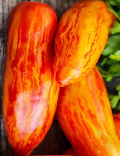 Valgomieji pomidorai ' Striped Roman' (Solanum lycopersicum) 10 sėklų