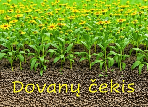 Dovanų čekis sumai
