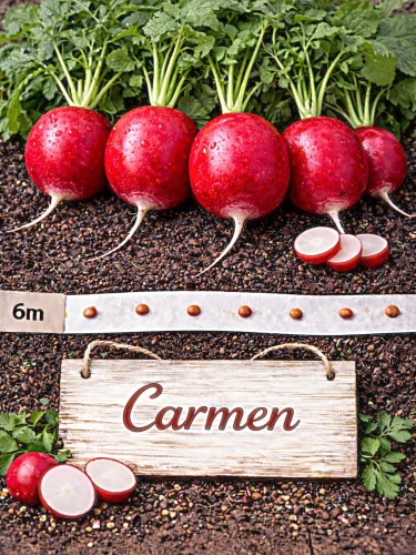 Valgomiej ridikėliai 'Carmen' 6m juosta ( Raphanus sativus var. sativus)