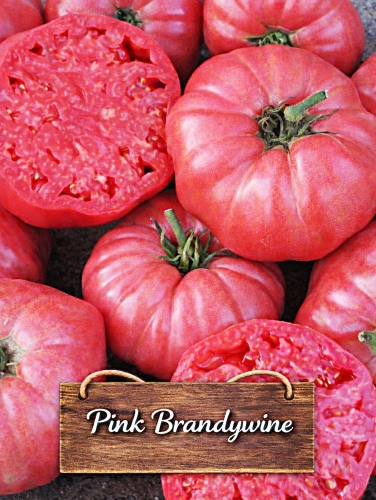 Valgomieji pomidorai 'Pink Brandywine' 10 sėklų (Solanum lycopersicum)
