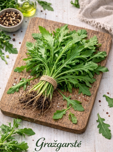 SĖJAMOSIOS GRAŽGARSTĖS (Rukola) 960 sėklų (ERUCA SATIVA)