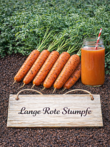 Valgomosios morkos 'Lange Rote stumpfe' 4000 sėklų  (Daucus carota subsp. sativus)