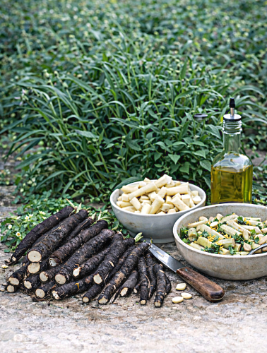 VALGOMOSIOS GELTEKLĖS Sėklų 2g ( SCORZONERA HISPANICA)