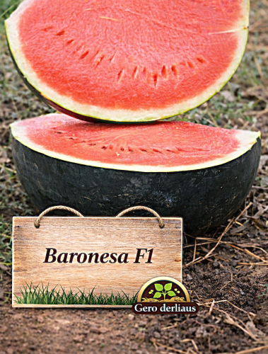 Tikrieji arbūzai (Citrullus Lanatus) Baronesa F1 5 sėklos