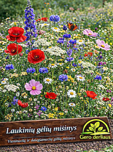 Laukinių gėlių mišinys (Daigiametės ir vienmetės gėlės) Sėklų2g