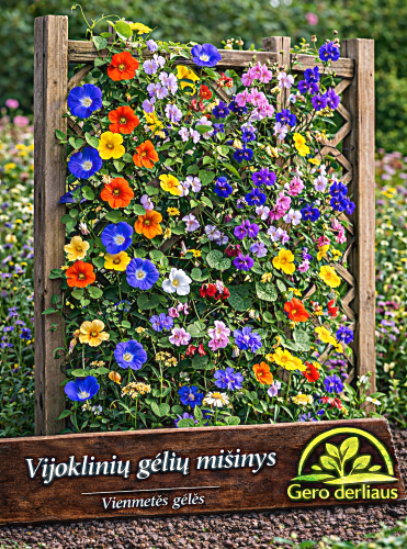Vienmečių vijoklinių gėlių mišinys Sėklų 2g