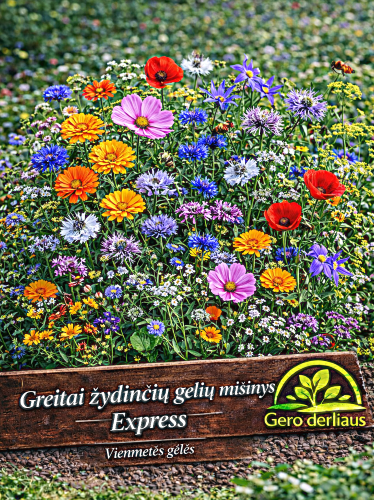 Gėlių mišinys Express, greito žydėjimo  2g