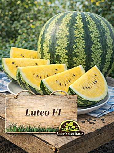 Tikrieji arbūzai Luteo F1 7 sėklos (Citrullus Lanatus)