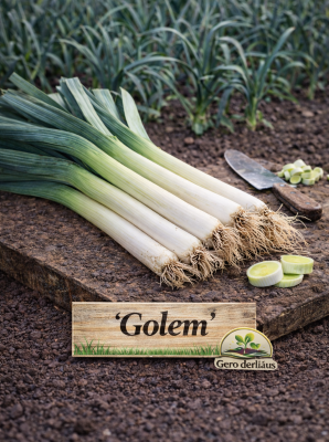 Daržinis poras 'Golem' Sėklų 1g (Allium Porrum L.)