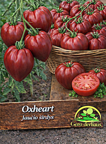 Valgomieji pomidorai 'Oxheart' (Jaučio širdys) 80 sėklų (Solanum lycopersicum)