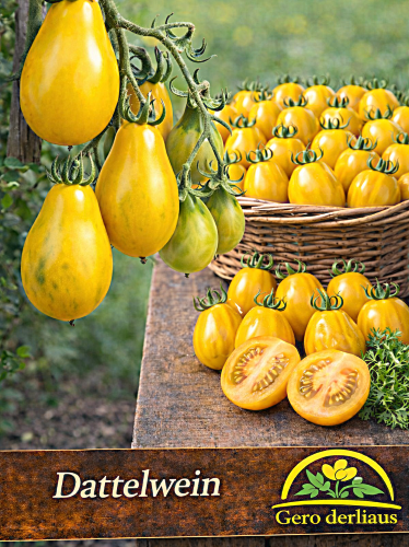 Valgomieji pomidorai 'Dattelwein' (Solanum lycopersicum), 5 sėklos