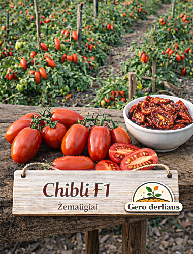 Pomidorai, valgomieji, žemaūgiai 'CHIBLI', 35 sėklos (Solanum lycopersicum)