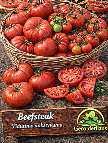Valgomieji pomidorai 'Beefsteak' Sėklų 0,5g (Solanum Lycopersicum)