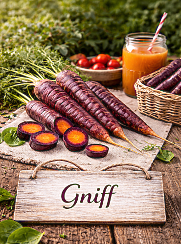 Valgomosios morkos 'Gniff' 80 sėklų (Daucus carota)