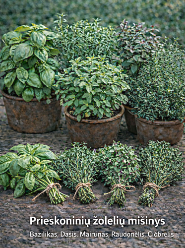 Prieskoninių žolelių mišinys Sėklų 1g