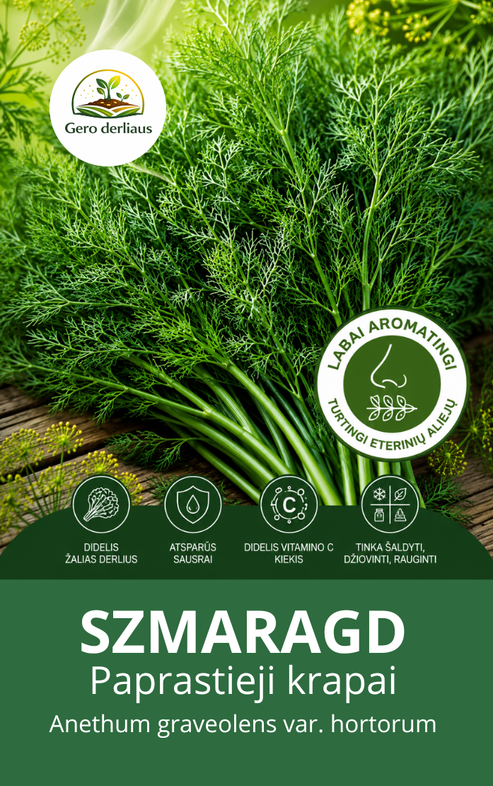 Paprastieji krapai (AROMATINGIEJI KRŪMINIAI) 'Szmaragd' Sėklų 3g  (Anethum graveolens var. hortorum)