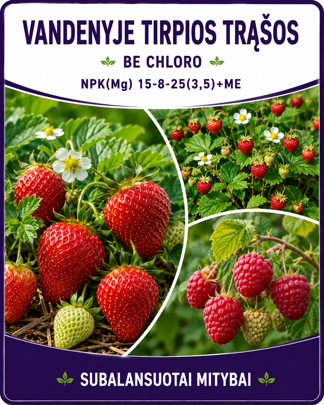 Braškių trąšos laistymui, NPK  15-8-25+mikroelementai,100g