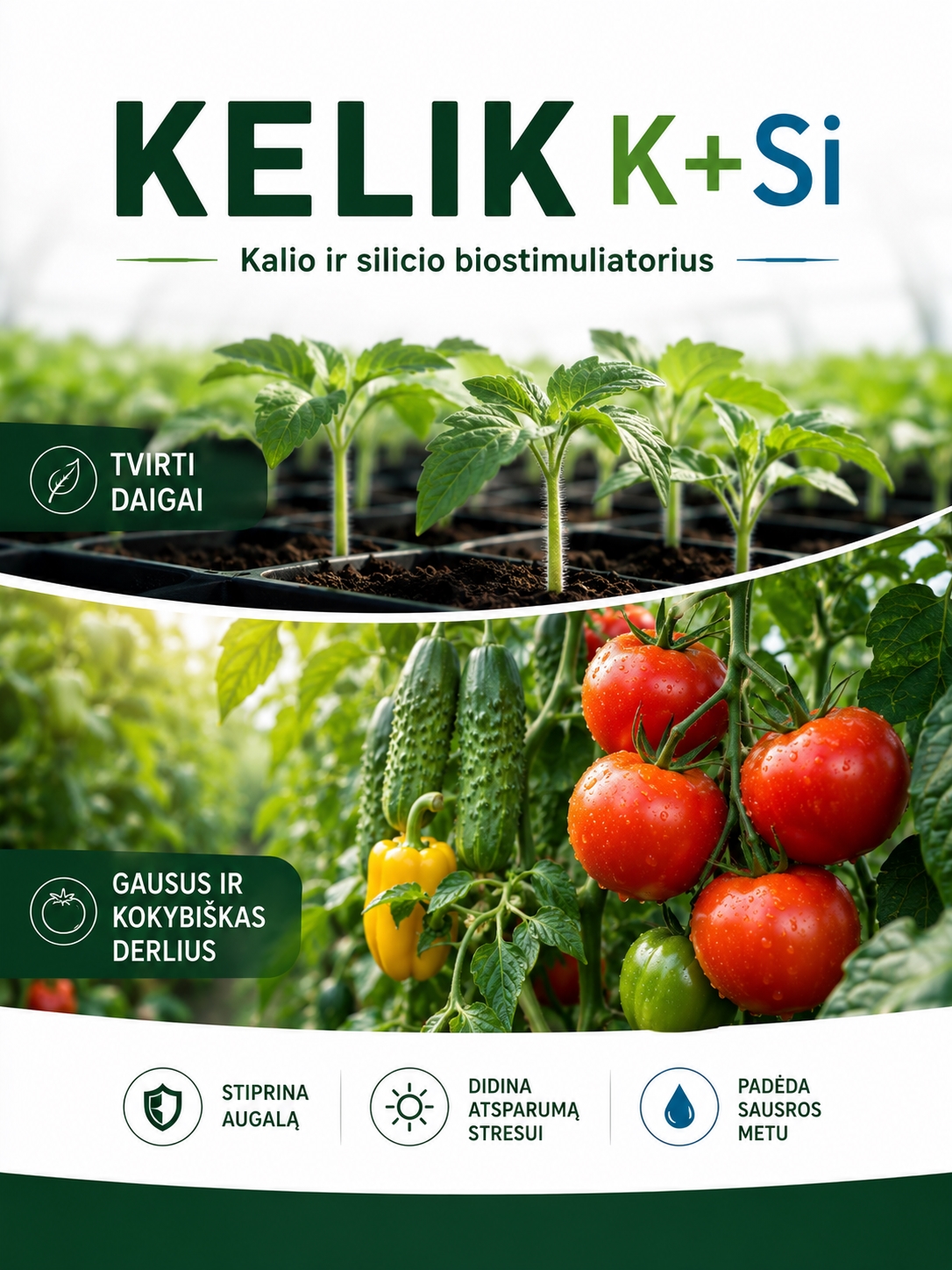 Kelik K+Si (kalio ir Silicio trąša), 60g (~50ml)