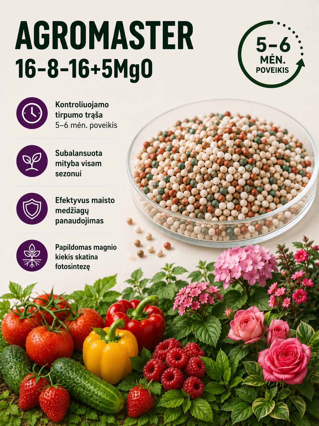 Ilgo veikimo trąšos Agromaster 16-8-16+5MgO 5-6 mėn. 1kg