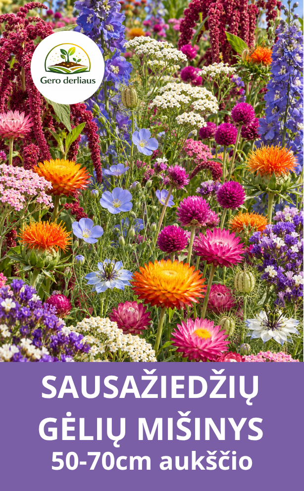 Gėlių mišinys sausoms puokštėms